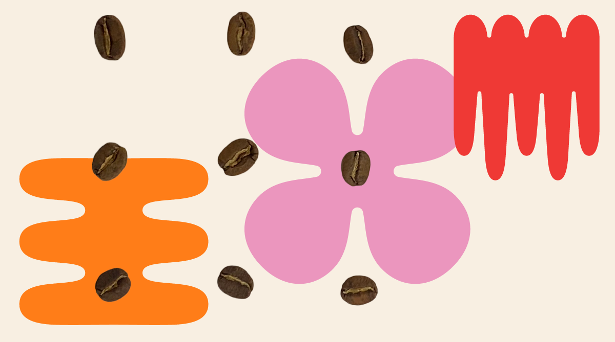 WeBe Coffee Roasters